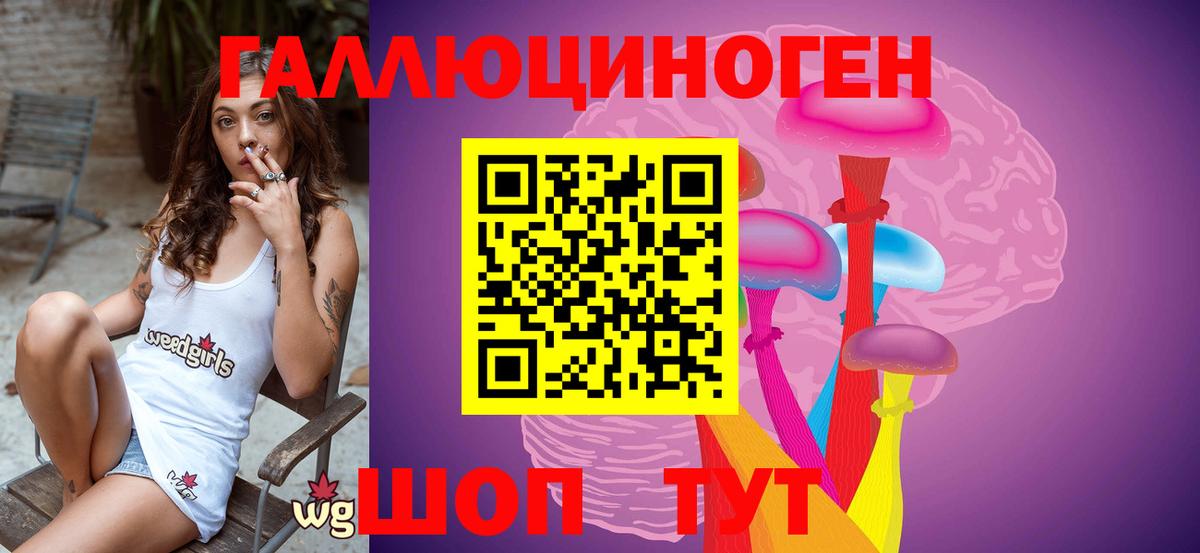 Псилоцибиновые грибы мицелий Касимов