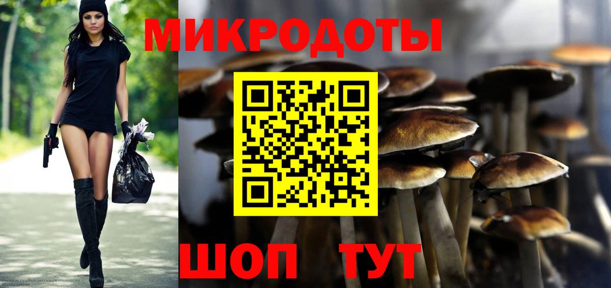 Касимов  Псилоцибиновые грибы Psilocybe  Вход с VPN 